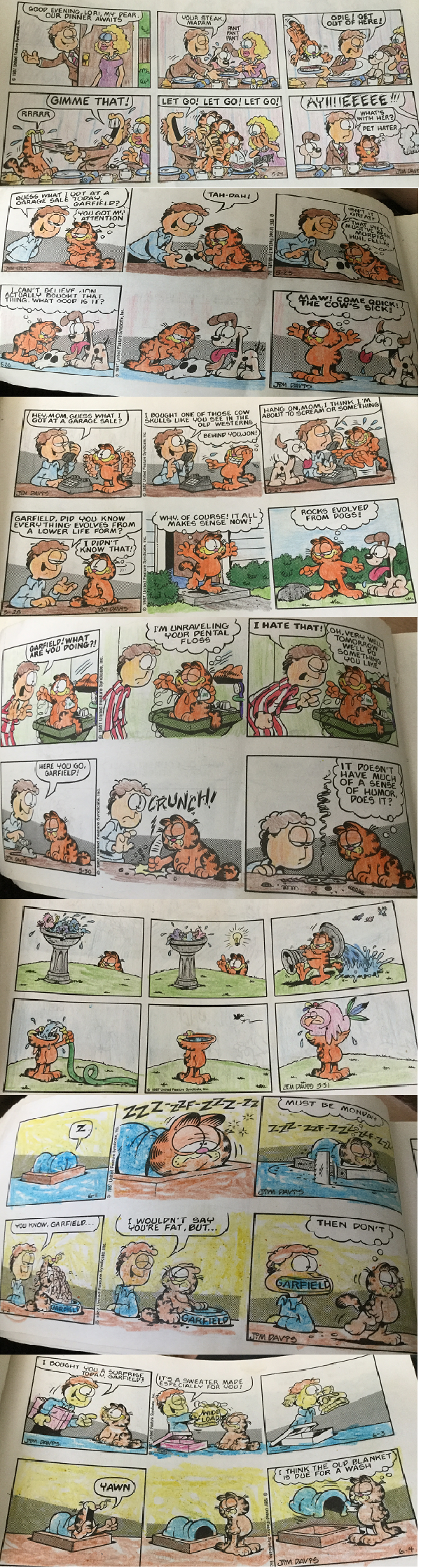 Crayonfield