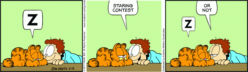 Garfield Minus Inexplicable Flipped Position