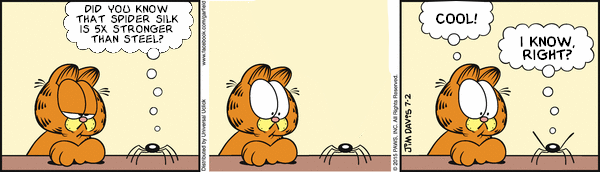 Garfield Plus Spider Fact