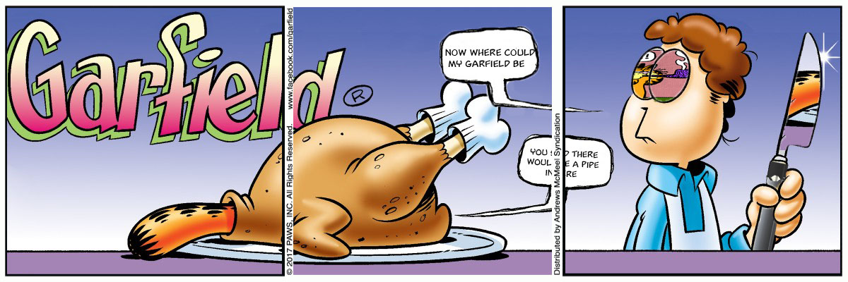 Where Is Garfield?