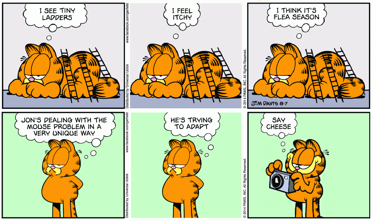Garfield, Revealed and Garfield, Concealed