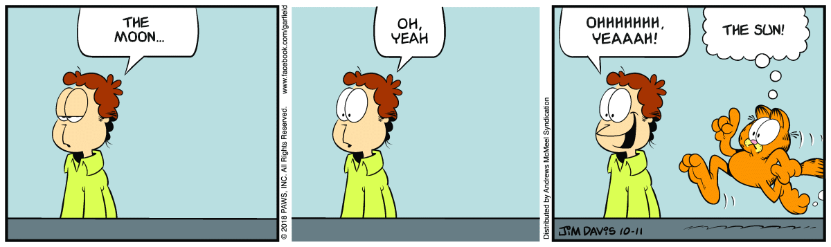 Even More Beautiful Garfield