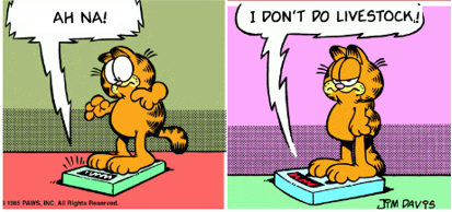 Studio Garfield