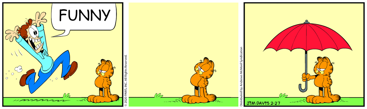 funny cat