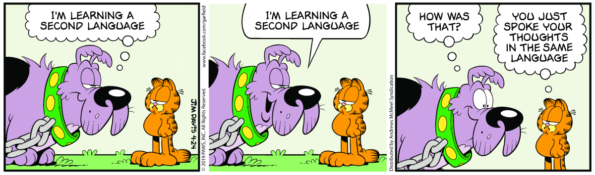 Word of Dog