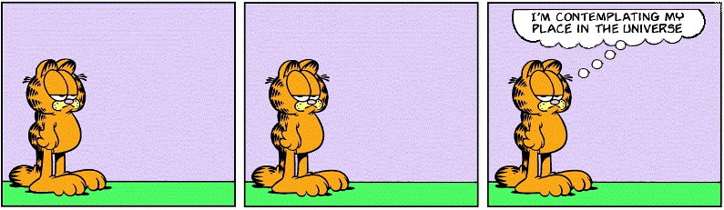Introspection with Garfield