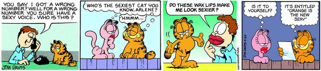 I'm Too Sexy For My Cat