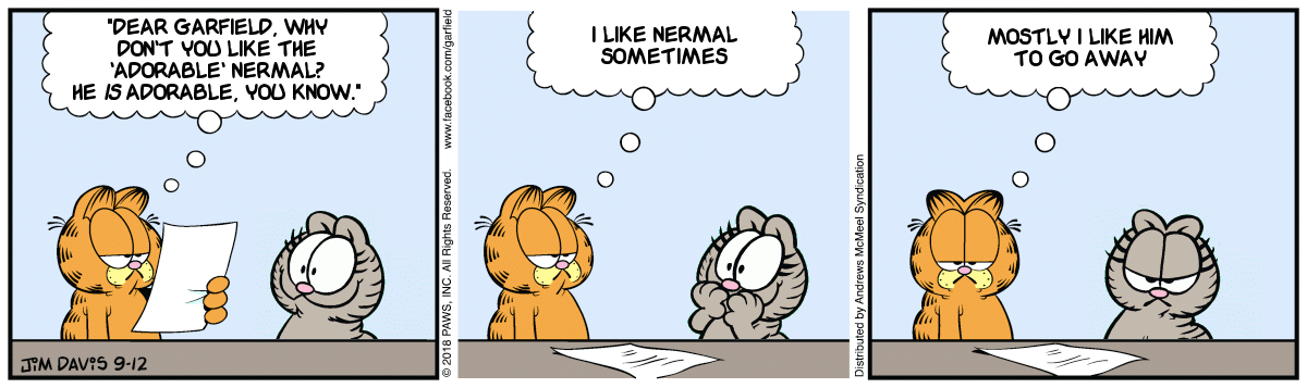 Kitty Delight