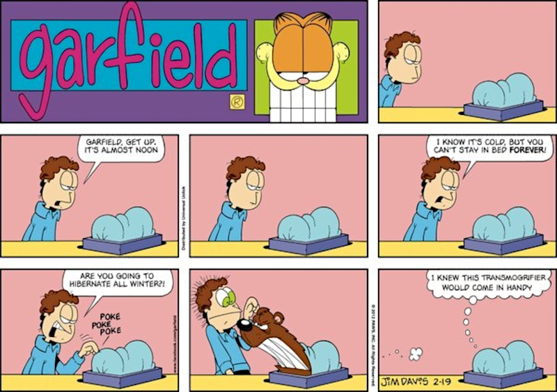 Garfield plus a gag from Calvin and Hobbes