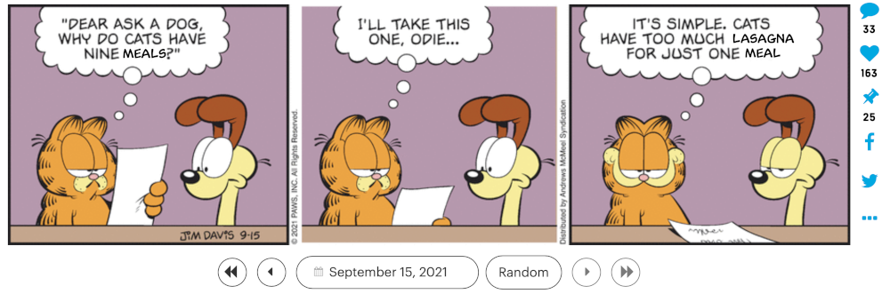Garfield mix up