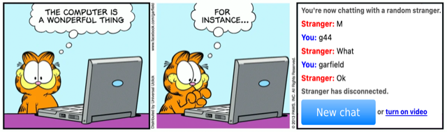 the world wide web