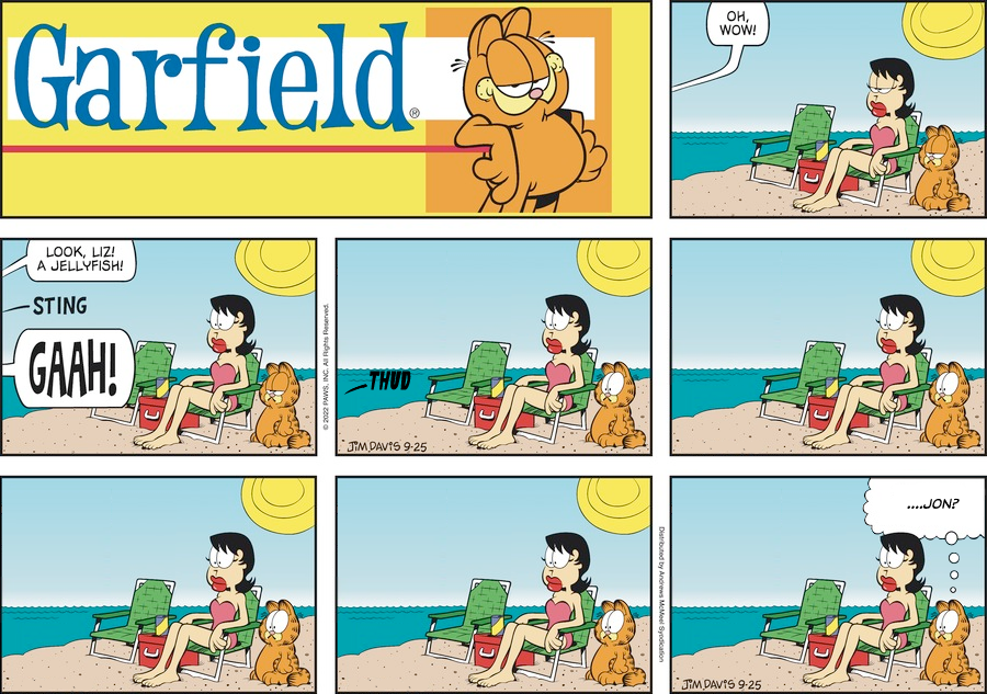 mezzacotta-square-root-of-minus-garfield