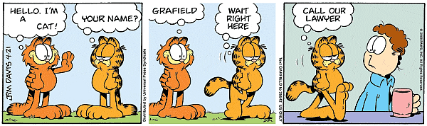 Grafield in Haiku