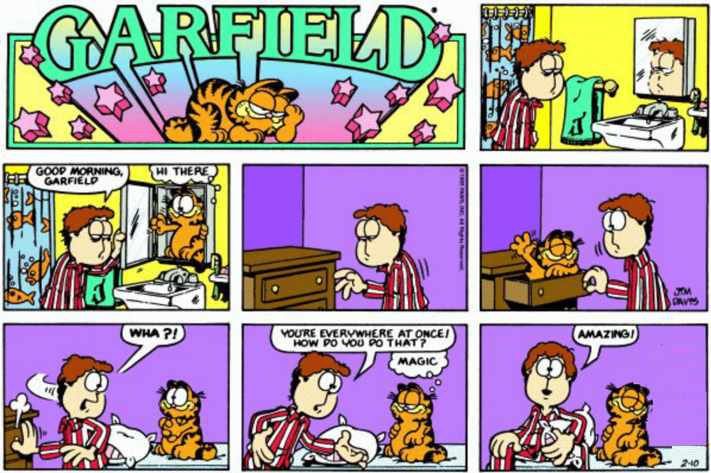 Garfield Plus Actual Magic