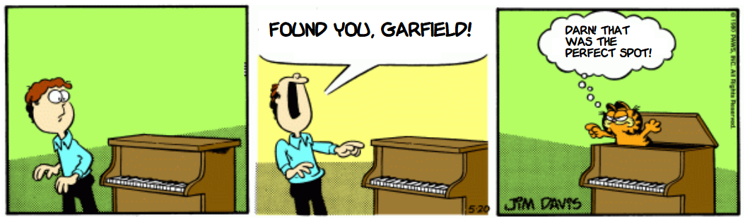 Hide and SeekField