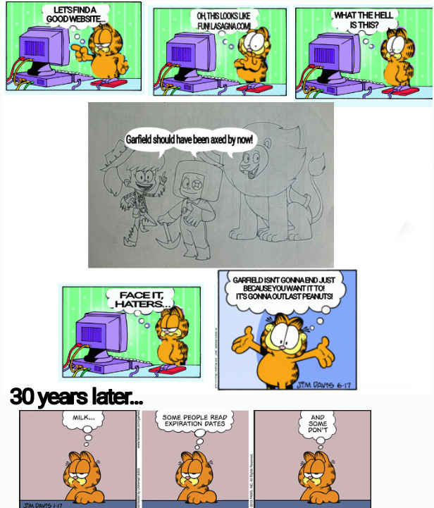 Garfield VS Haters