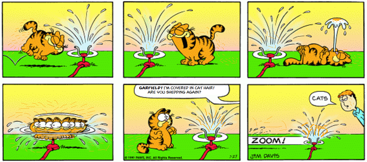 Garfield Plus Water Plus Shedding