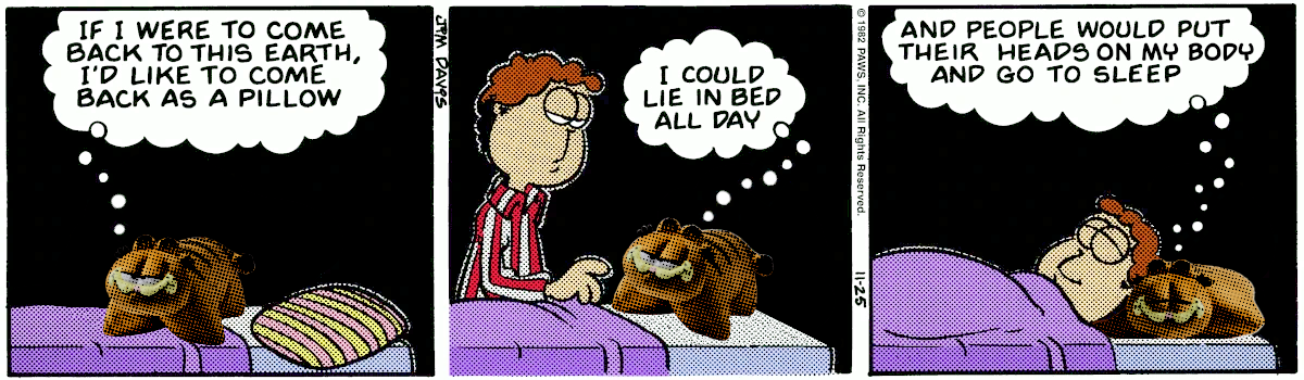 It's a Pillow, It's a Pet
