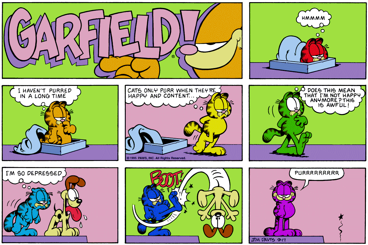 Rainbow Garfield