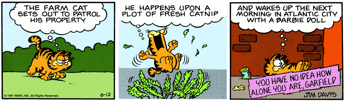 Garfield Plus You-Have-No-Idea-How-Alone-You-Are-Garfield