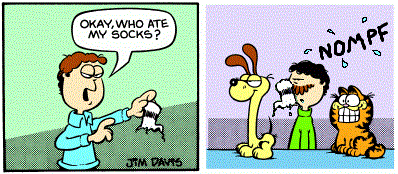 Garfield Plus The Last Straw