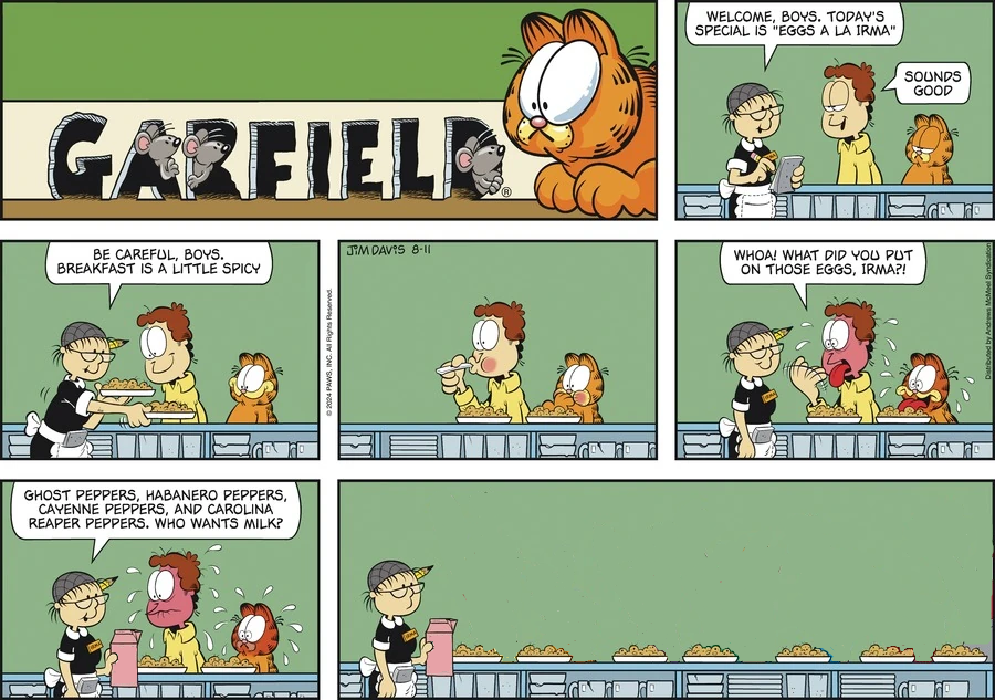 11 August 2024 strip, European Version