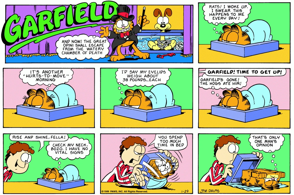 Garfield Plus the Right Direction
