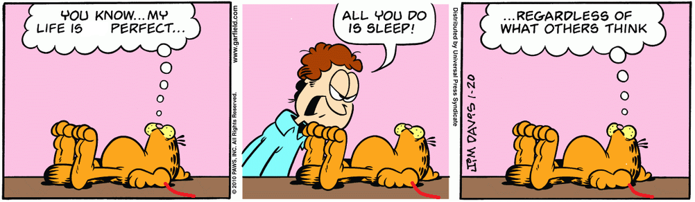 Frigidly comatose Garfield