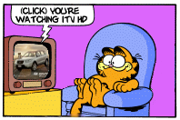 Cat Watching England vs USA