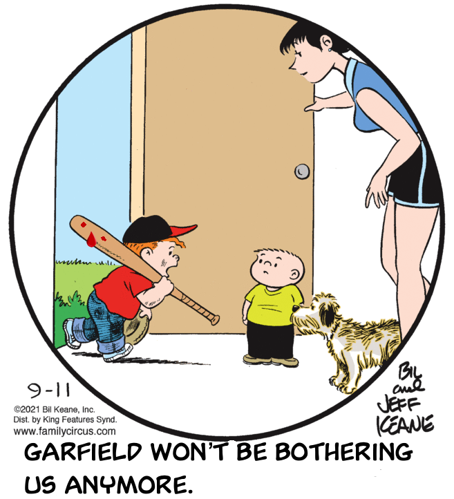 That Darn Cat!