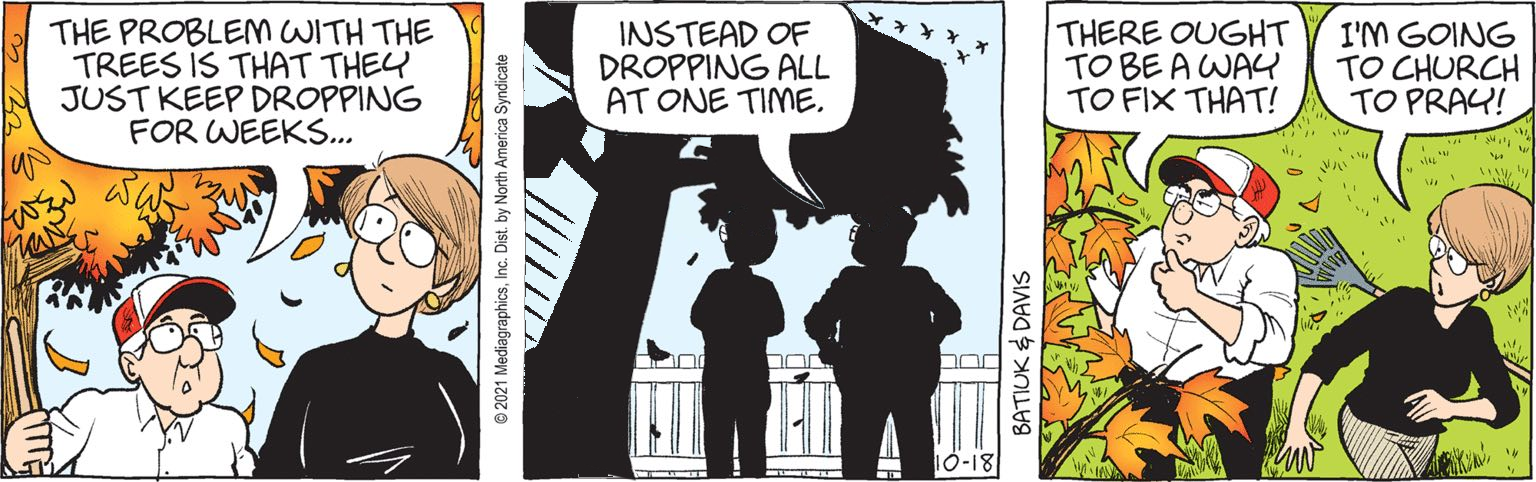 The trees are falling into leaf like something having just been dropped