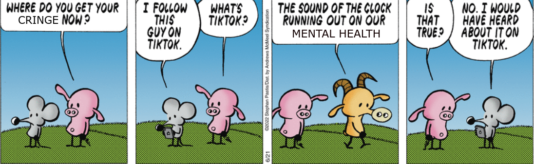 Pearls before Swine minus Politics: It's not just democracy TikTok is ruining