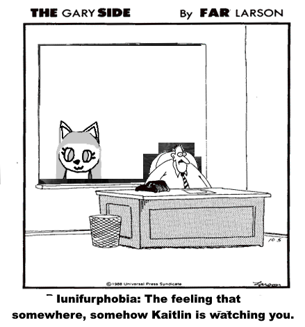 Iunifurphobia