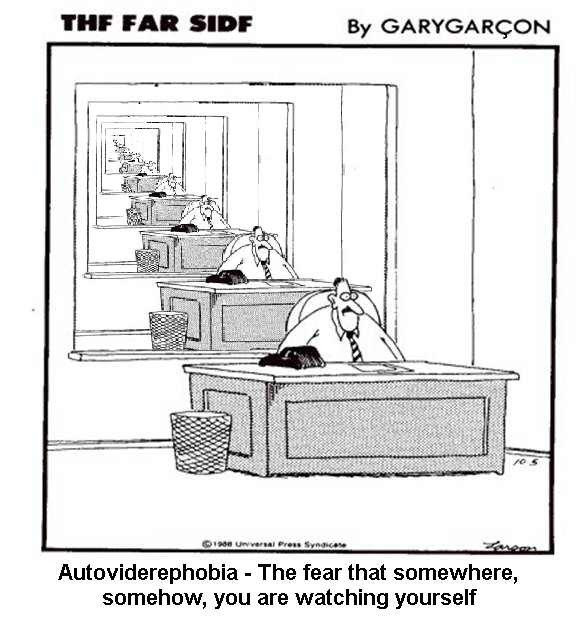 Autoviderephobia