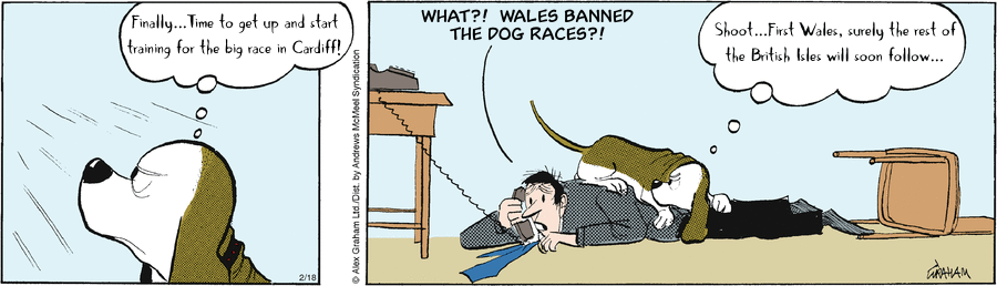 Score One for Welsh Animal Rights