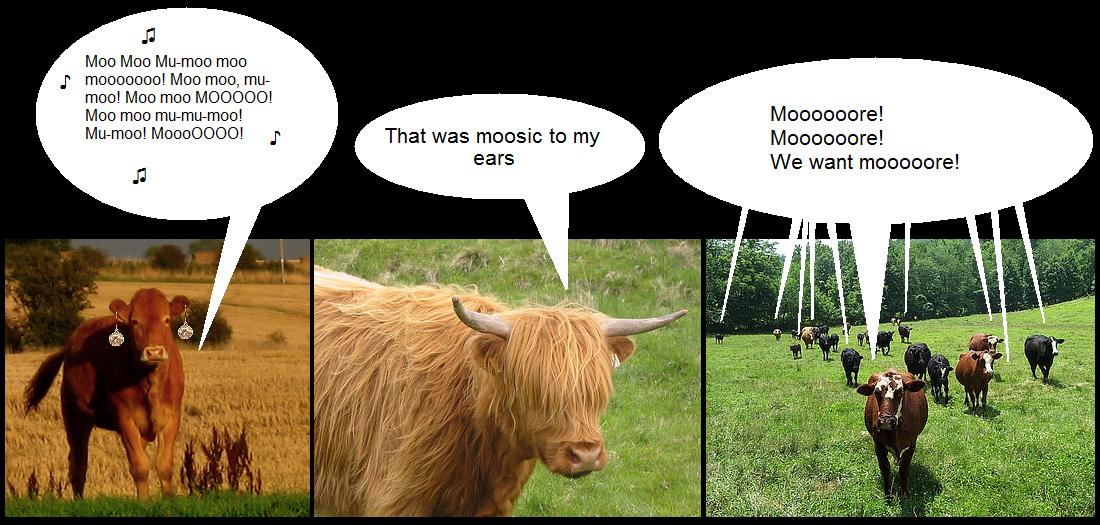 Cow Notes