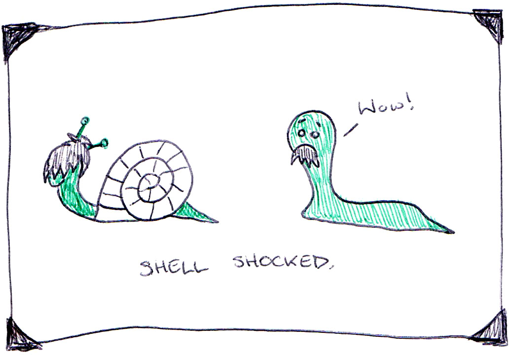 Shell Shock