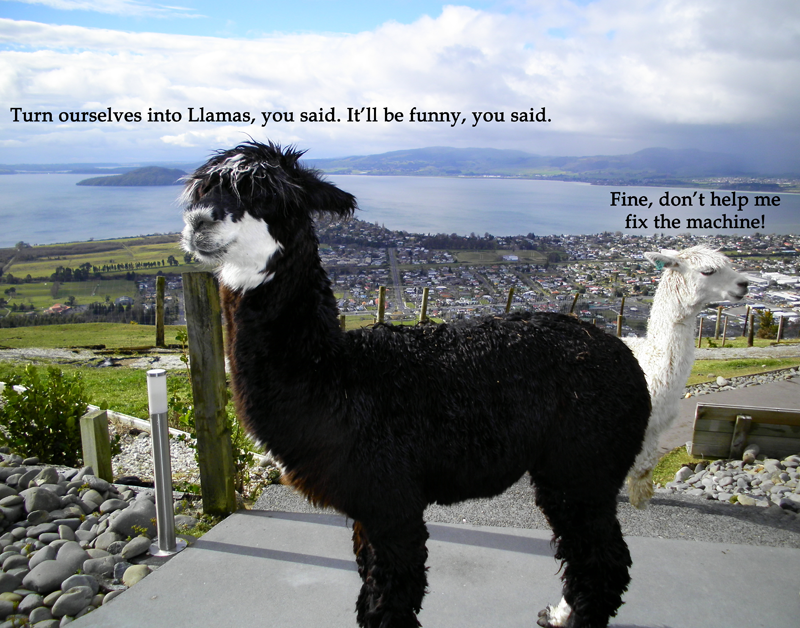 Llama, Llama, Llama, You Don't Treat Me No Good No More