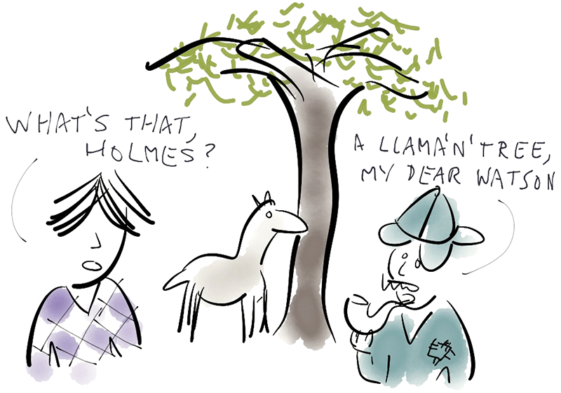 Sherlock 4