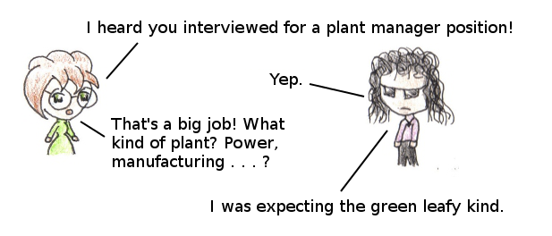 Job Interview