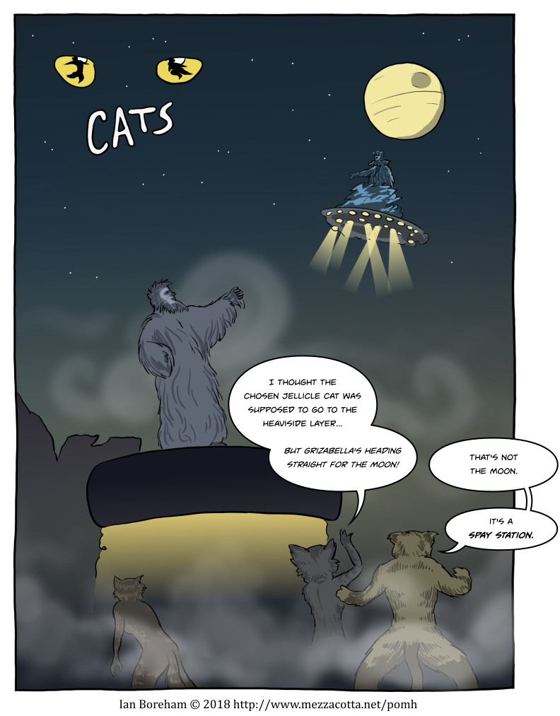 Maybe she's a Jedicle Cat.